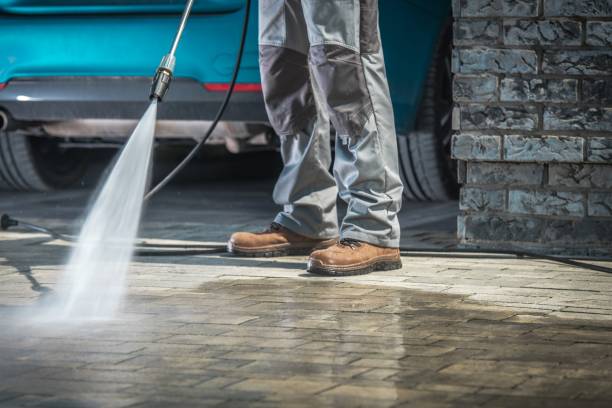 Best Paint Preparation  in Ardsley, NY